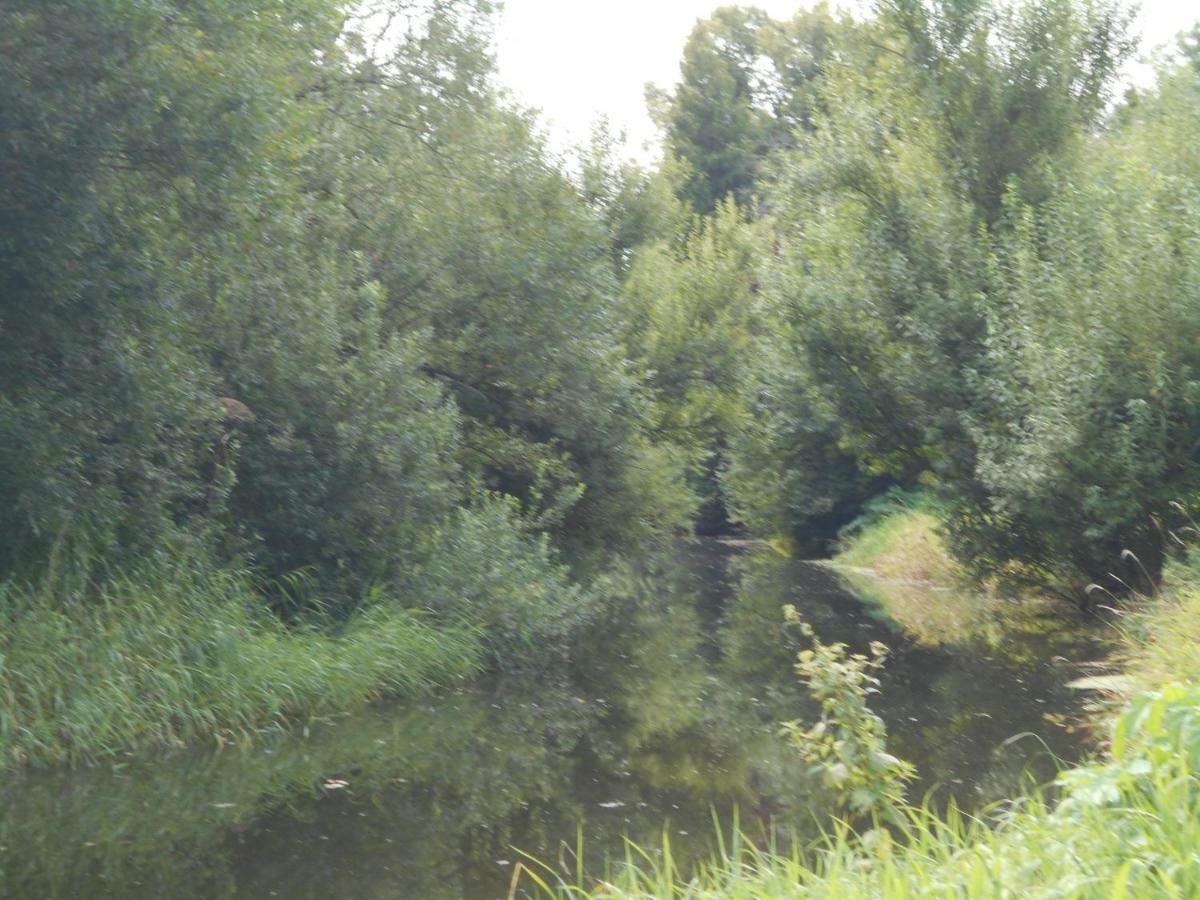 Fewo Fleckeby An Der Schlei Lejlighed Eksteriør billede
