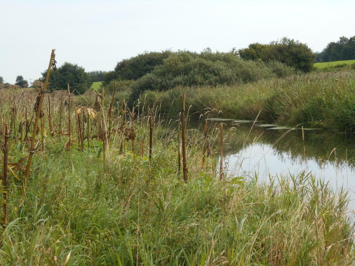 Fewo Fleckeby An Der Schlei Lejlighed Eksteriør billede